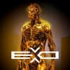 ExoMultiversXLogo