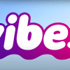 VibesLogo